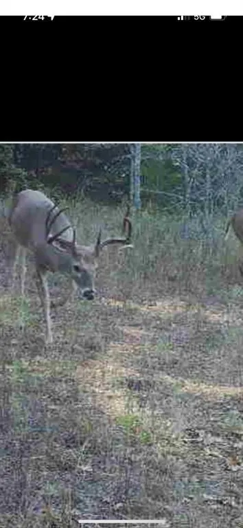 Photo 28 — 0000 EW 1210 Road, Wewoka, OK 74884