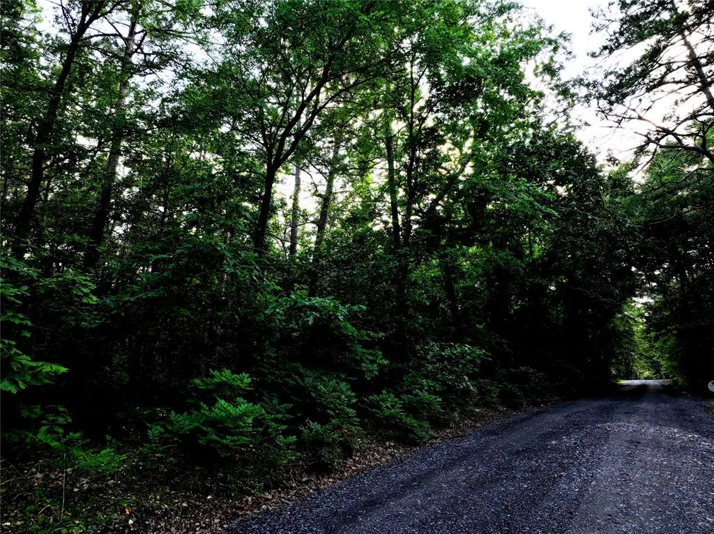 Photo 2 — 0 Pilotfish Road, Broken Bow, OK 74728