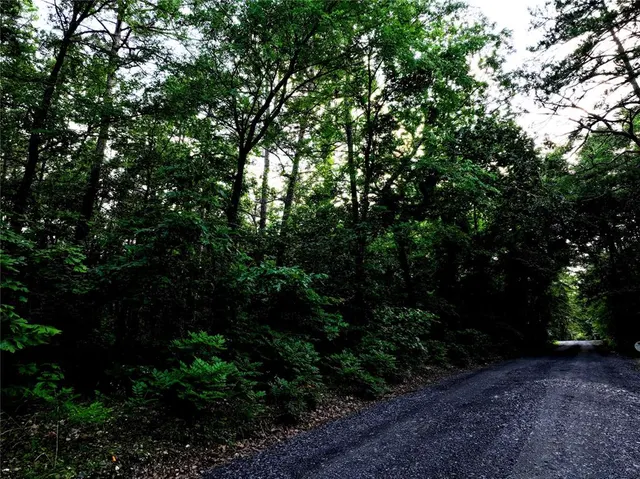 Photo 2 — 0 Pilotfish Road, Broken Bow, OK 74728