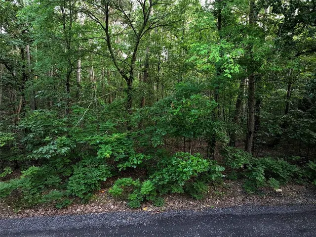 Photo 3 — 0 Pilotfish Road, Broken Bow, OK 74728