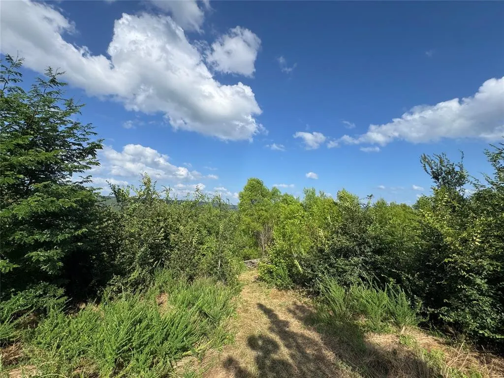 Photo 10 — 182424 N 4159 Road, Moyers, OK 74557