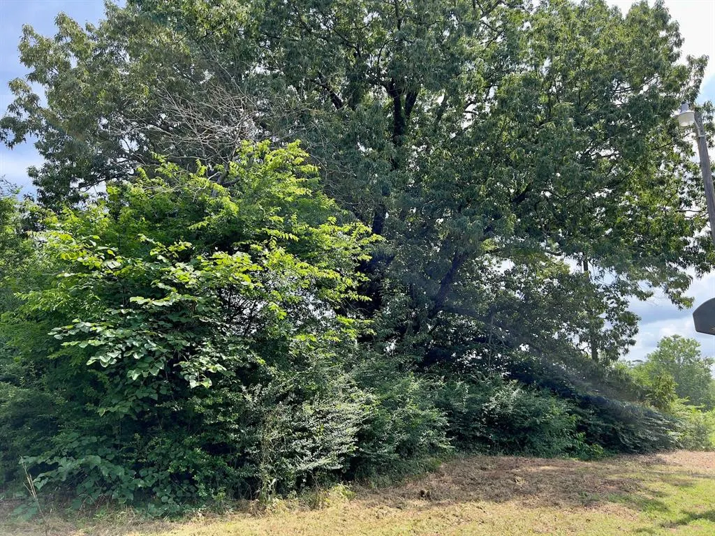 Photo 9 — 991 Skipjack Road, Eagletown, OK 74734
