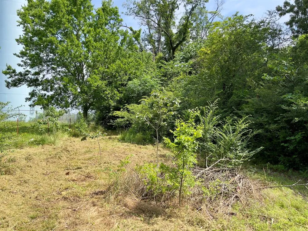 Photo 10 — 991 Skipjack Road, Eagletown, OK 74734
