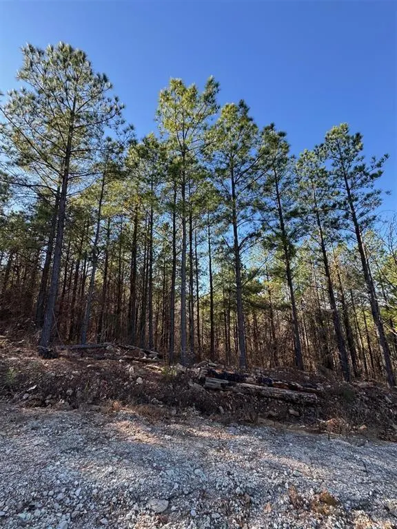 Photo 3 — 73 Elmwood Court, Broken Bow, OK 74728