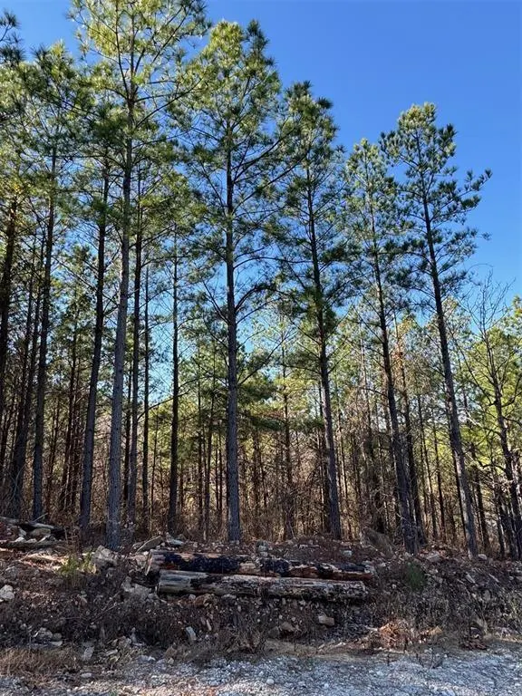 Photo 4 — 73 Elmwood Court, Broken Bow, OK 74728