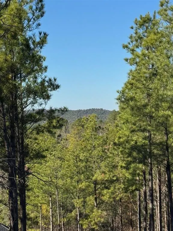 Photo 5 — 73 Elmwood Court, Broken Bow, OK 74728