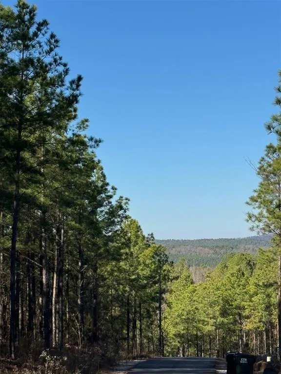 Photo 7 — 73 Elmwood Court, Broken Bow, OK 74728