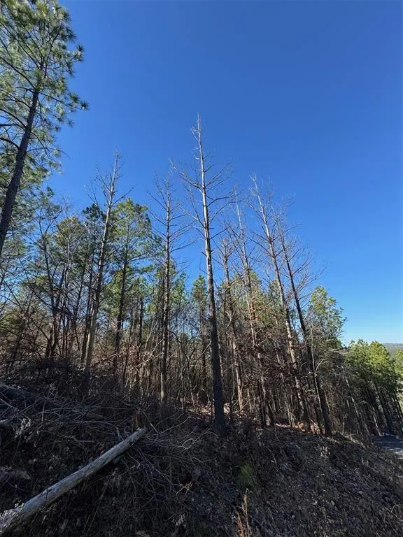 Photo 2 — 79 Vine Court, Broken Bow, OK 74728