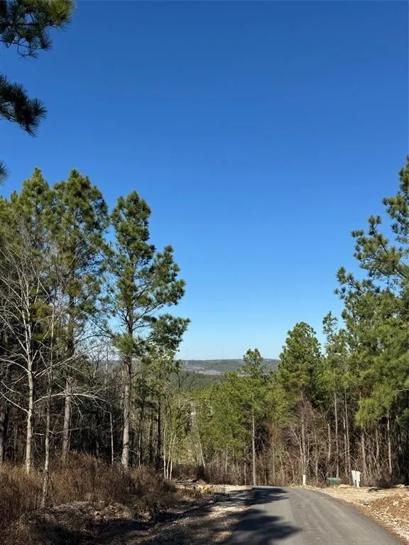 Photo 3 — 79 Vine Court, Broken Bow, OK 74728