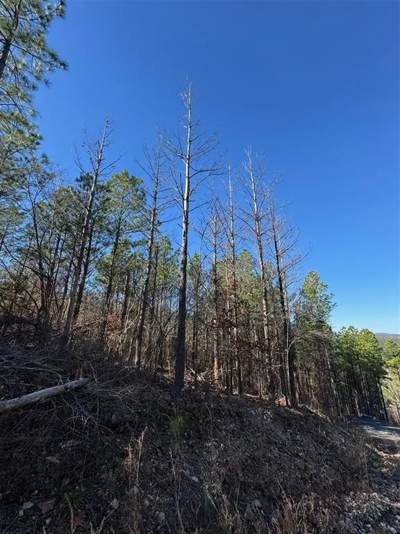 Photo 4 — 79 Vine Court, Broken Bow, OK 74728