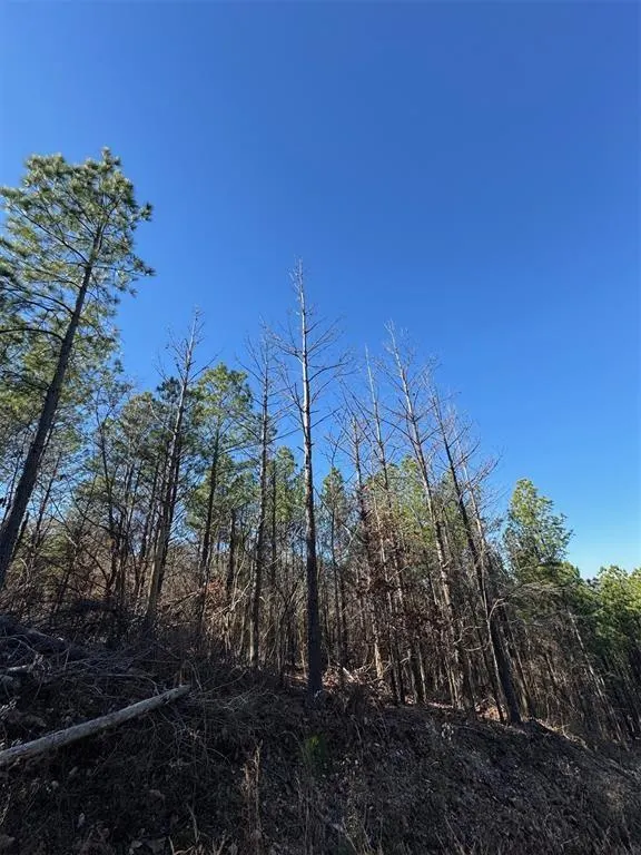 Photo 5 — 79 Vine Court, Broken Bow, OK 74728