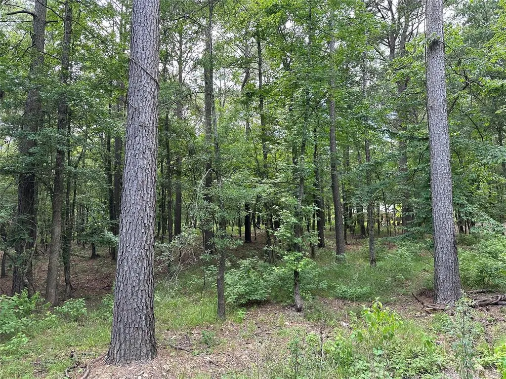 Front exterior — 46 Lazy River Lane, Broken Bow, OK 74728