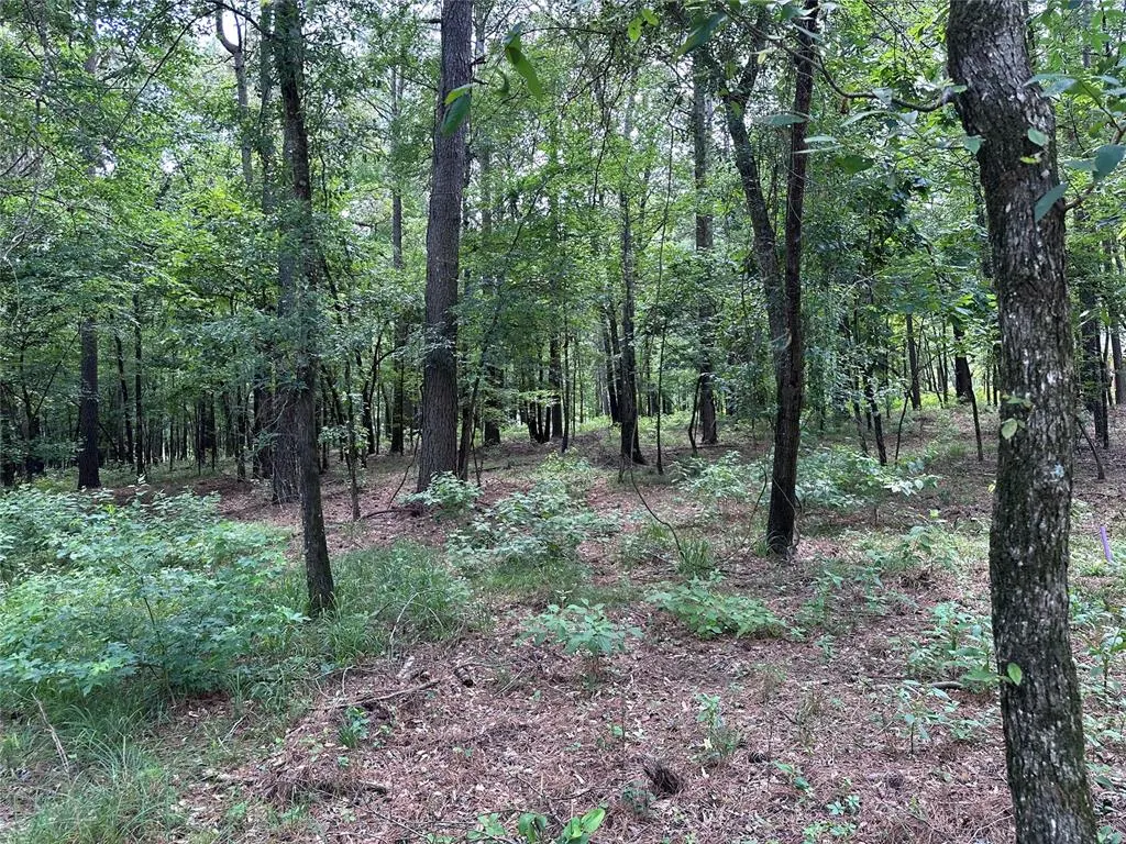 Photo 2 — 46 Lazy River Lane, Broken Bow, OK 74728