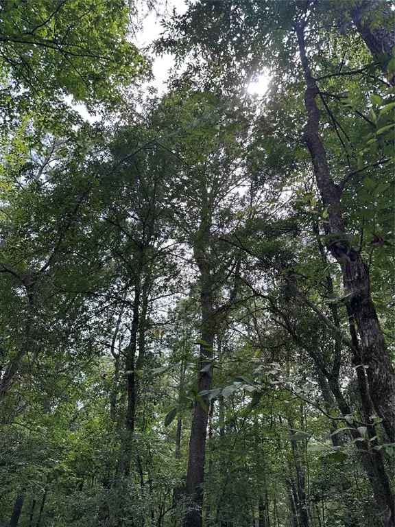 Photo 3 — 46 Lazy River Lane, Broken Bow, OK 74728