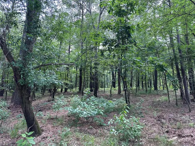 Photo 4 — 46 Lazy River Lane, Broken Bow, OK 74728