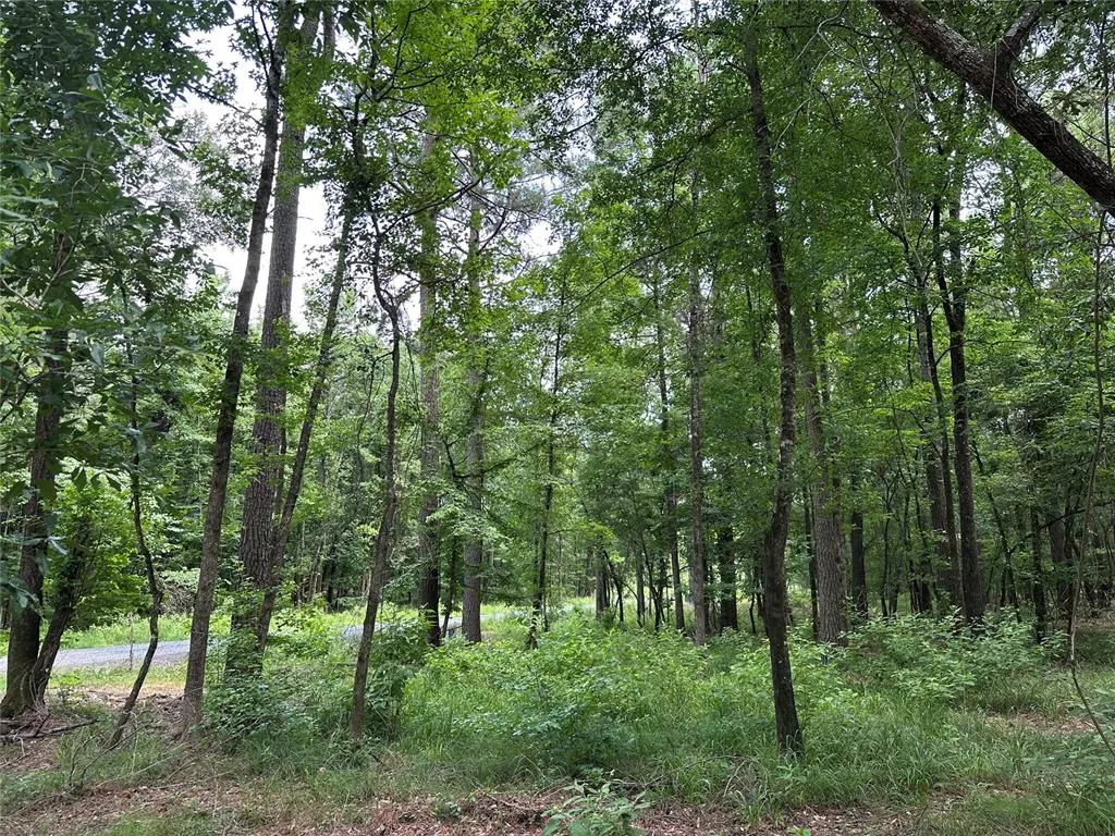 Photo 5 — 46 Lazy River Lane, Broken Bow, OK 74728