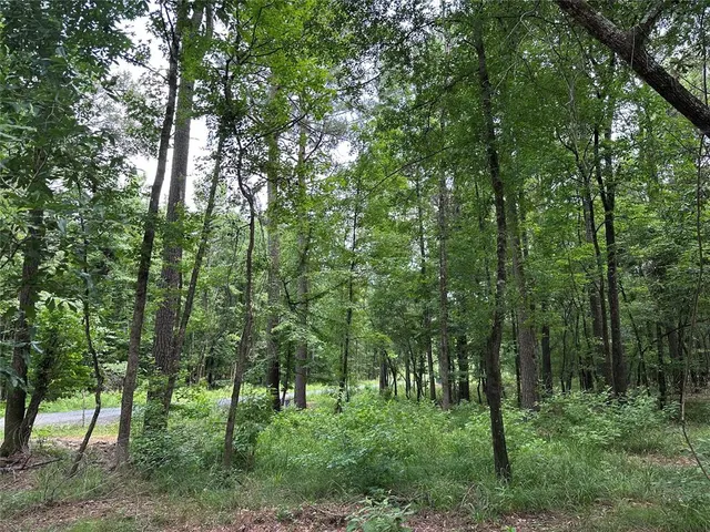 Photo 5 — 46 Lazy River Lane, Broken Bow, OK 74728
