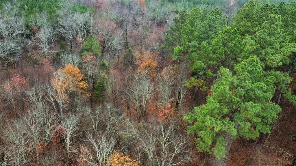 Photo 4 — 184 Sycamore Bottoms Lane, Broken Bow, OK 74728