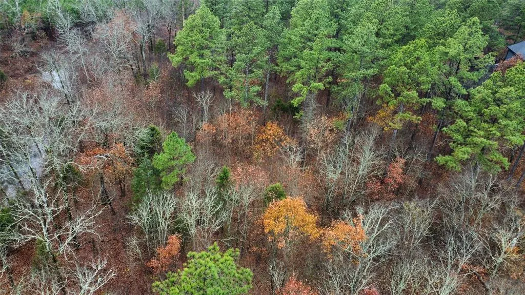 Photo 9 — 184 Sycamore Bottoms Lane, Broken Bow, OK 74728