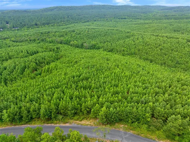 Photo 3 — 234 Sierra Vista Trail, Broken Bow, OK 74728