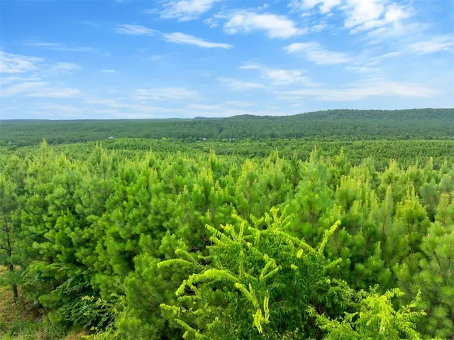 Photo 4 — 234 Sierra Vista Trail, Broken Bow, OK 74728