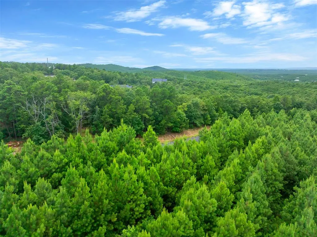 Photo 5 — 234 Sierra Vista Trail, Broken Bow, OK 74728