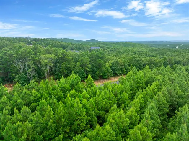 Photo 5 — 234 Sierra Vista Trail, Broken Bow, OK 74728