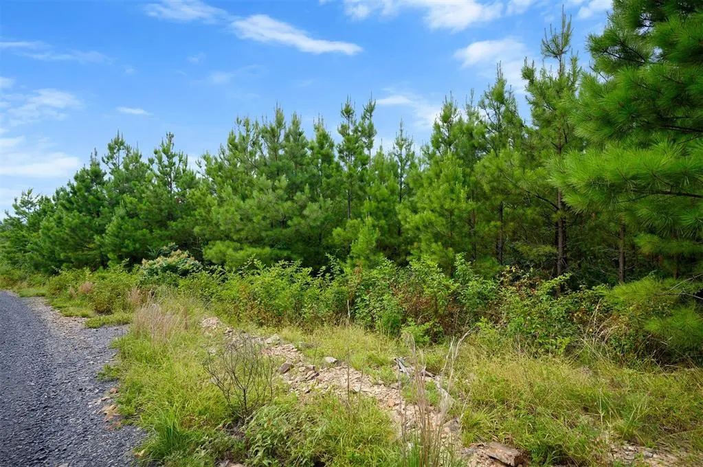 Photo 9 — 234 Sierra Vista Trail, Broken Bow, OK 74728