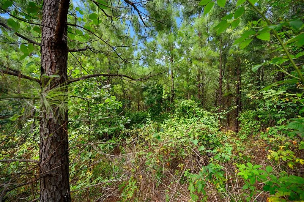 Photo 10 — 234 Sierra Vista Trail, Broken Bow, OK 74728