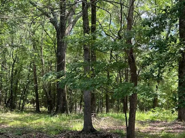 Photo 5 — 3272 Indian Hwy 144 Highway, Broken Bow, OK 74728