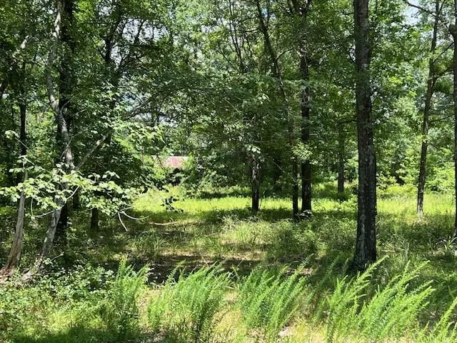 Photo 6 — 3272 Indian Hwy 144 Highway, Broken Bow, OK 74728