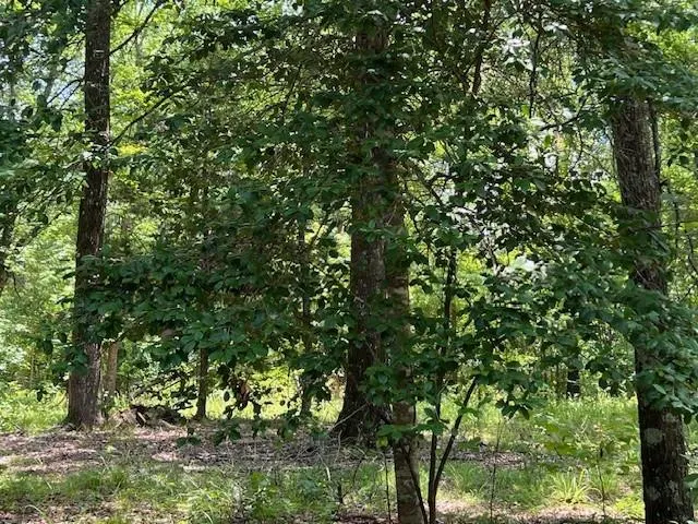 Photo 21 — 3272 Indian Hwy 144 Highway, Broken Bow, OK 74728