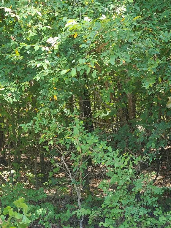 Photo 6 — Jeffery Drive, Cookson, OK 74427