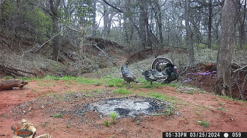 Photo 33 — 10076 Cottonwood Farms, Coyle, OK 73027