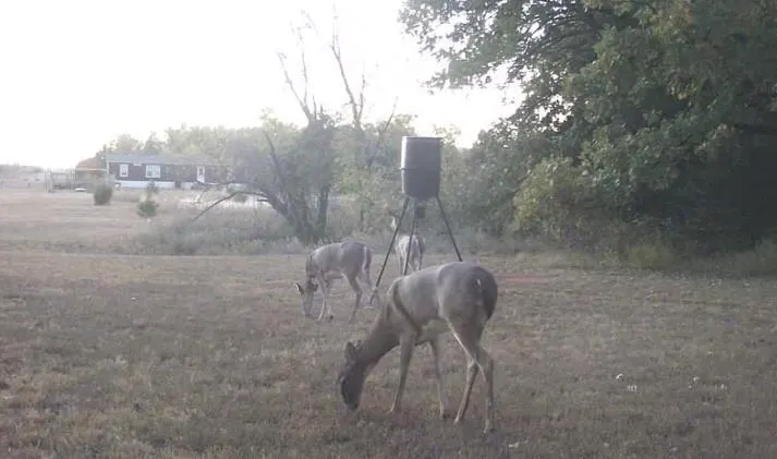 Photo 35 — 10076 Cottonwood Farms, Coyle, OK 73027