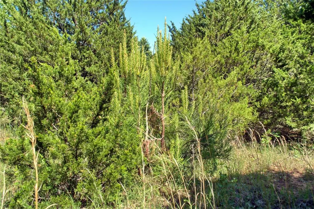 Photo 11 — 11541 N Triple X Road, Jones, OK 73049