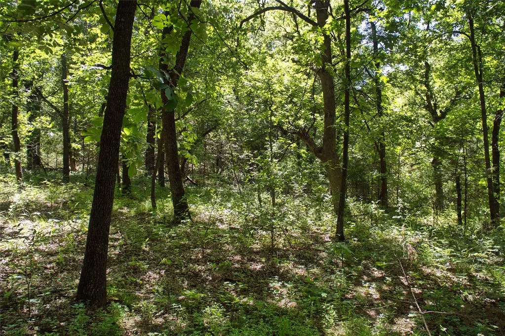 Photo 13 — 11541 N Triple X Road, Jones, OK 73049