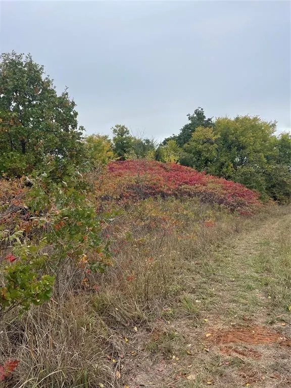 Photo 17 — 26131 Lot 6 Main Street, Blanchard, OK 73010