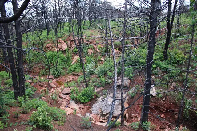 Photo 2 — 0000 E Seward Road, Meridian, OK 73058
