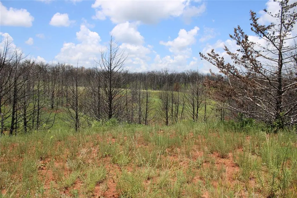 Photo 4 — 0000 E Seward Road, Meridian, OK 73058