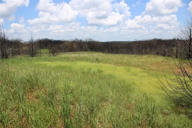 Photo 5 — 0000 E Seward Road, Meridian, OK 73058