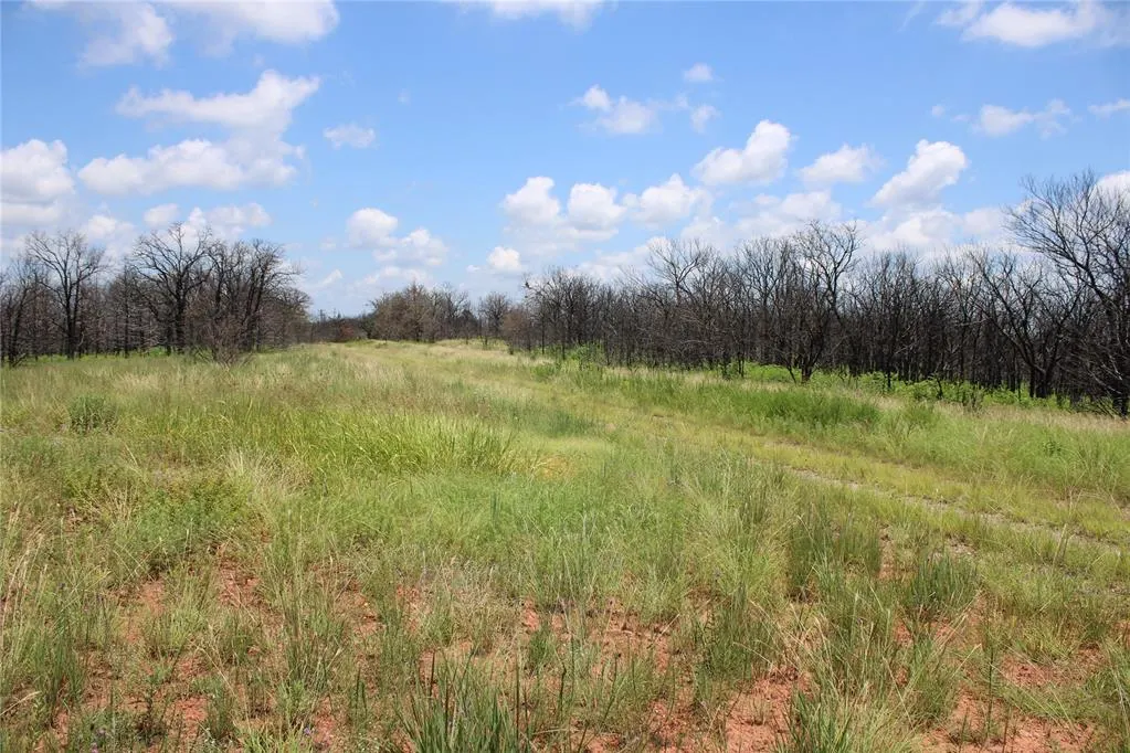 Photo 43 — 0000 E Seward Road, Meridian, OK 73058