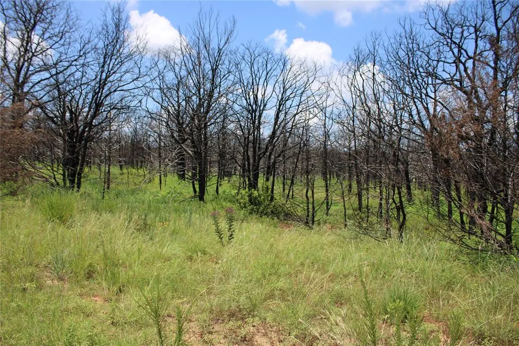Photo 44 — 0000 E Seward Road, Meridian, OK 73058