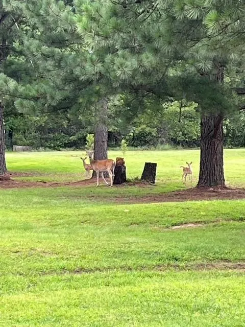 Photo 30 — 9117 S Dobbs Road, Newalla, OK 74857
