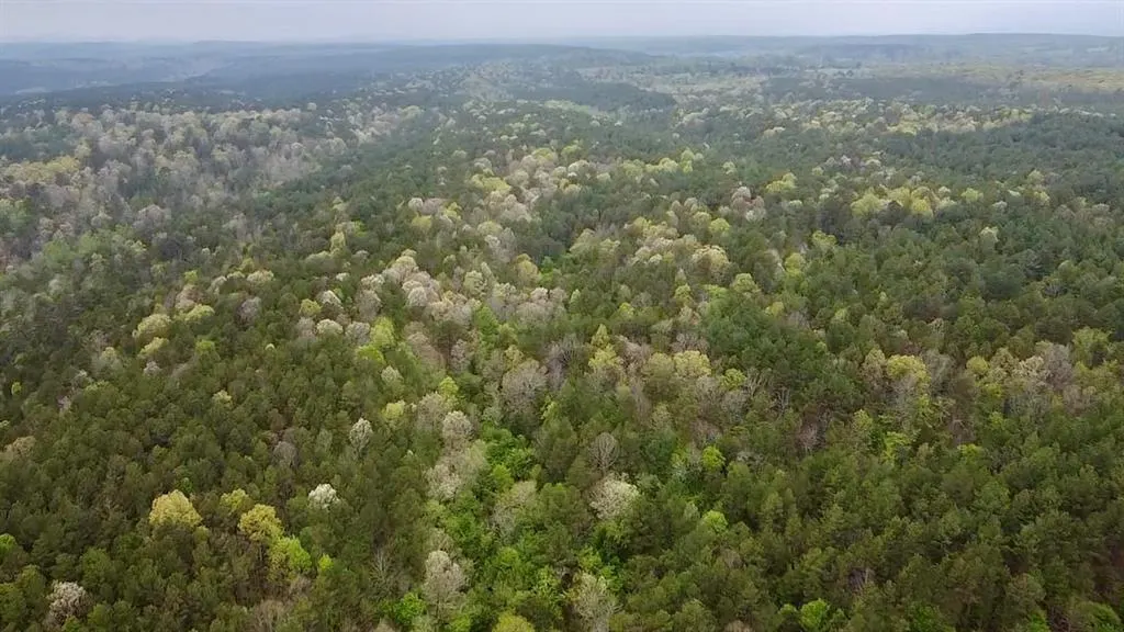 Photo 2 — 40 Trout Creek Road, Watson, OK 74963