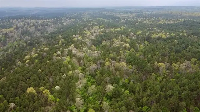 Photo 2 — 40 Trout Creek Road, Watson, OK 74963