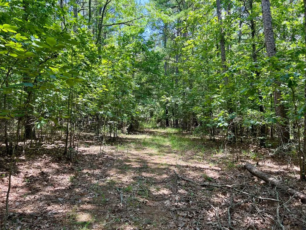 Photo 12 — 40 Trout Creek Road, Watson, OK 74963