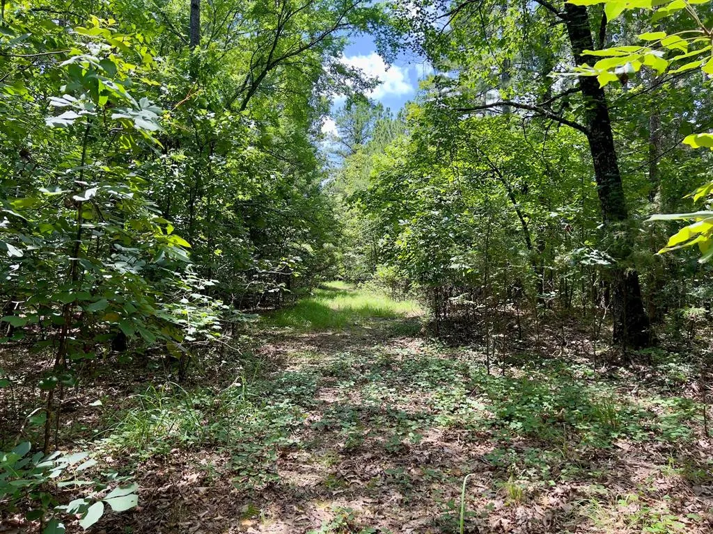 Photo 14 — 40 Trout Creek Road, Watson, OK 74963