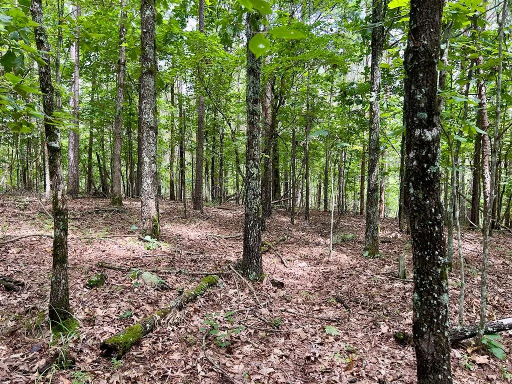 Photo 19 — 40 Trout Creek Road, Watson, OK 74963
