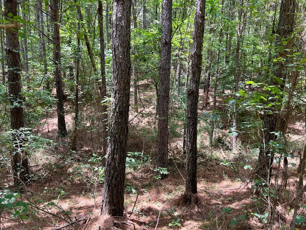 Photo 41 — 40 Trout Creek Road, Watson, OK 74963